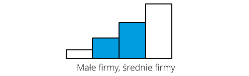 Oprogramowanie dla małych i średnich firm