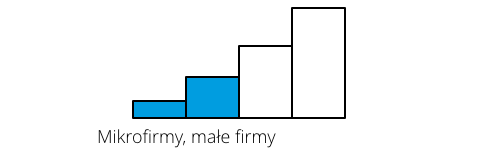 Oprogramowanie dla mikrofirmy i małej firmy