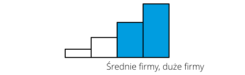 Oprogramowanie dla średnich i dużych firm